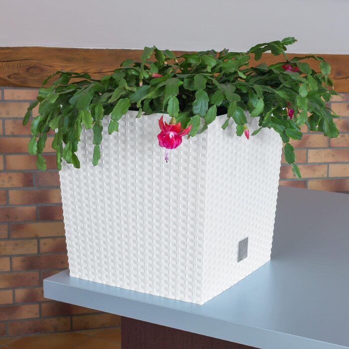 Літровий горщик з білим дном, 33 x 33 x 33 см. 32 x 32 x 32,5 см, білий, 32-