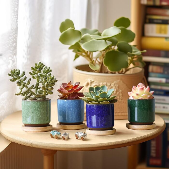 Керамічні горщики для сукулентів Кактус горщики міні квіткові горщики Ice Crack Taller серія 6 кольорів набір з блюдцем, 4U 6,3