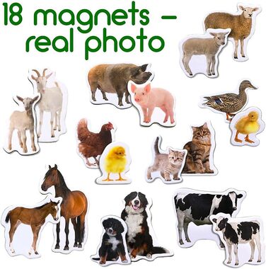 Магніти для дітей на магнітну дошку - Іграшки-магніти для дітей - Магніти на холодильник для дітей - Набір магнітів на холодильник