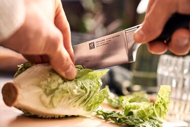 Набір ножів ZWILLING Four Star Traveller Set/Knife Set із 7 предметів для кемпінгу, набір із 3 ножів, обробна дошка, ніж офіціанта, ножиці та сумка для перенесення