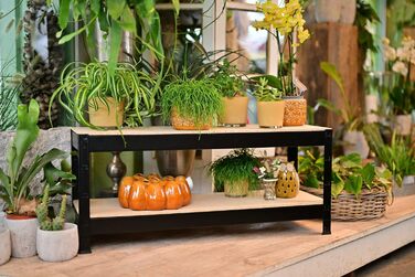 Стелаж SCHULTE Shelf World для важких умов експлуатації з 2 дерев&39яними полицями, 43x100x40 см (ВxШxГ), вантажопідйомність на полицю приблизно 150 кг, чорне текстуроване покриття, стелаж для зберігання, стелаж для підвалу, стелаж для майстерні, стелаж б