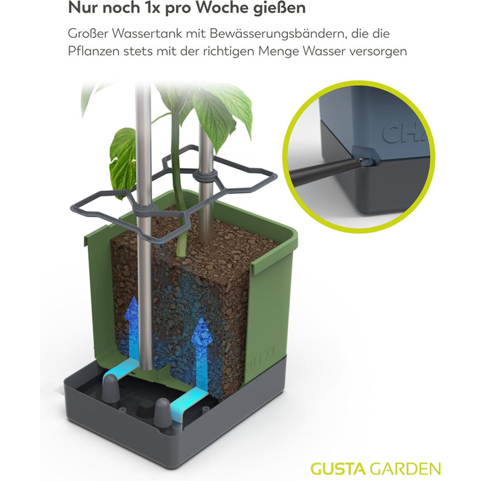 Горщик для рослин Charly Chili Chili - Горщик для рослин із шпалерою, системою поливу та міцним каркасом (темно-зелений, XL) XL Темно-зелений