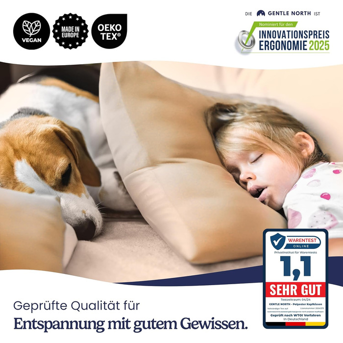 Подушка Gentle North (розміром 40x60 см) - Набір з 2 подушок для ліжка та як декоративні подушки - На блискавці для наповнення - Д