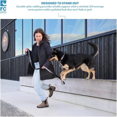 Нашийник для собак RC Pet Products, 1,3 см, регульований, Середній розмір - Ширина 1, Кістка Середній розмір - Ширина 1 Кістка