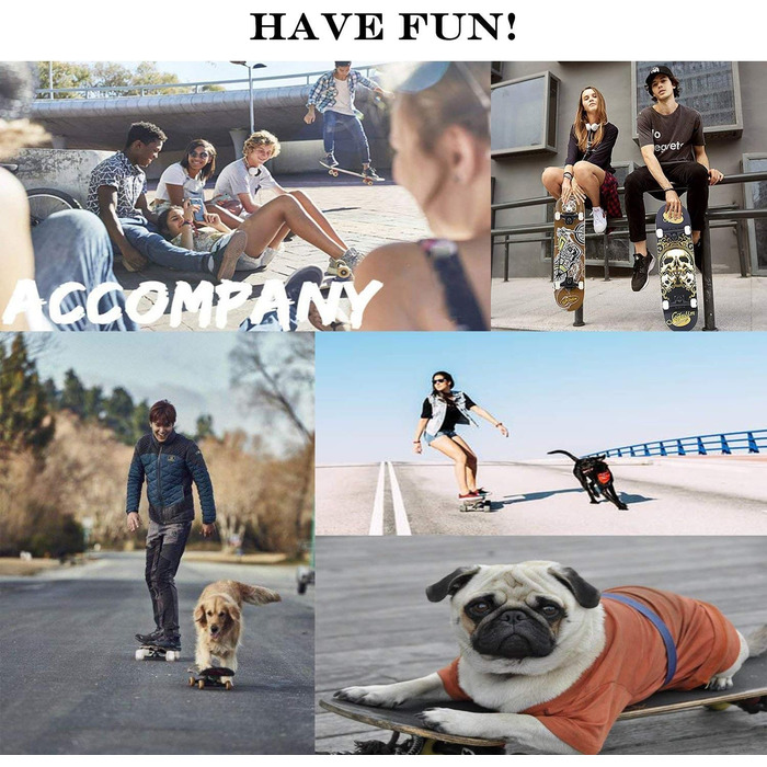 Скейтборд для дорослих повна дошка 31 x 8 дюймів з кульковими підшипниками ABEC-7 7-шаровий клен для початківців дітей та дорослих