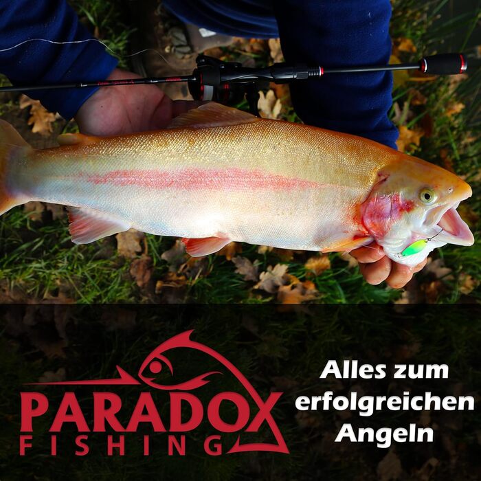 Набір волосіней Paradox Fishing UL-Ruten Set I Trout Series XI 1,85 м Wg. 1,2 г-4 г I Spoon Rute Forellenrute Ultralight Rute UL Rute Ul-Rute Trout Series X 1,85 м Wg. 1,2 г-4 г