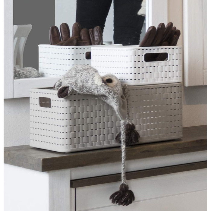 Набір із 3 коробок для зберігання Rotho Country об&39ємом 6 л, під ротанг, пластик без бісфенолу А (PP), білий, 3 x A5/6L (28,0 x 18,5 x 12,6 см), Не застосовується Білий Не застосовується