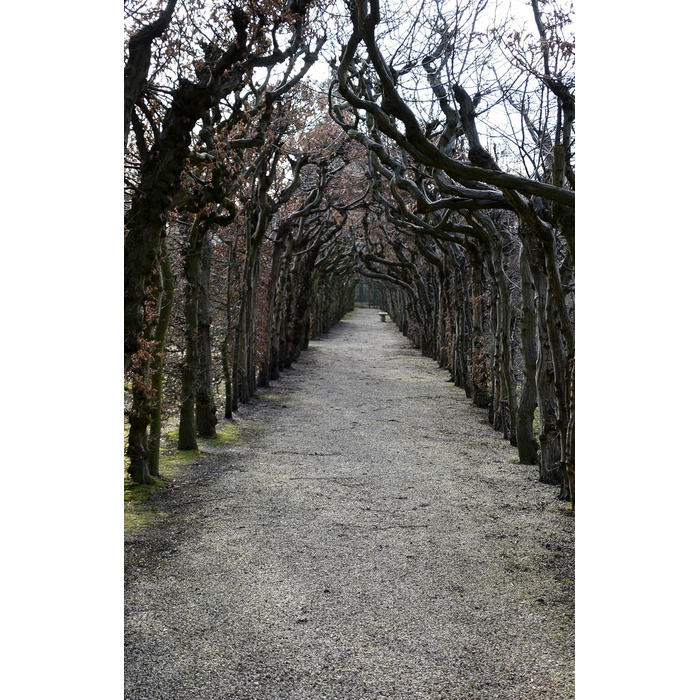 Шкіряна кобура OKATSUNE 133 велика Кобура для пояса з міцної шкіри Підходить для садових ножиць/секаторів Okatsune 103 та 104 235 мм, 65 г Світло-коричнева кобура 133 для 103104