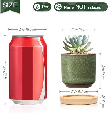 Керамічні горщики для сукулентів Кактус горщики міні квіткові горщики Ice Crack Taller серія 6 кольорів набір з блюдцем, 4U 6,3