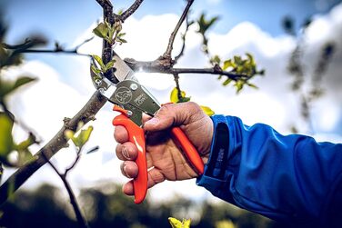 Оригінальні садові ножиці LWE 10 Professional Anvil 10.107 з обхідною геометрією - інноваційні гострі ножиці з ергономічними ручками та антипригарним покриттям на сталевому лезі для різання у садівництві