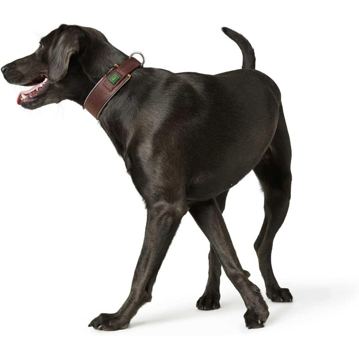 Нашийник для собак HUNTER NEOPREN Reflect, колір коричневий/карамельний, м'яка підкладка, світловідбиваючий, особливо широкий для оптимального комфорту, ідеальний для прогулянок у сутінках, розмір 45 см коричневий/карамельний