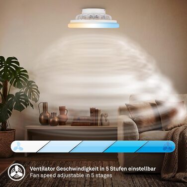 Стельовий LED-вентилятор BRILONER з освітленням та пультом керування, тихий DC-мотор, 5 швидкостей, регулювання температури світла (CCT) та яскравості, 38 см, білий