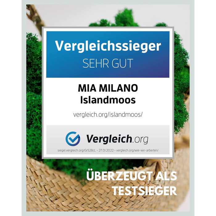 Ісландський мох натуральний зелений збережений I Декорація з моху для крафта I 500г Справжній декоративний мох Ісландський для картини з моху та живої мохової стіни