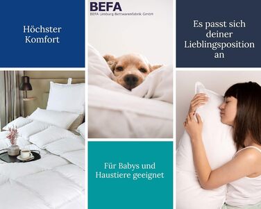 Пухова подушка BEFA NATUR 80x80 см Подушка зі 100 пуху Вага наповнювача 1500 г Підходить для алергіків (NOMITE) Сертифіковано як безпечне для тварин (DOWNPASS) Oeko-TEX Клас 1 Зроблено в Німеччині 80x80 см