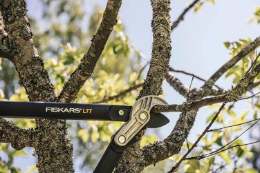 Садові секатори Fiskars PowerGear з механізмом передачі для сухого гілля та пагонів, з нарізним та тупим лезом, антипригарним покриттям, виготовлені з міцної інструментальної сталі, довжина 69 см, чорно-помаранчеві, L77, 1000583 L77 (діаметр гілок до 5 см