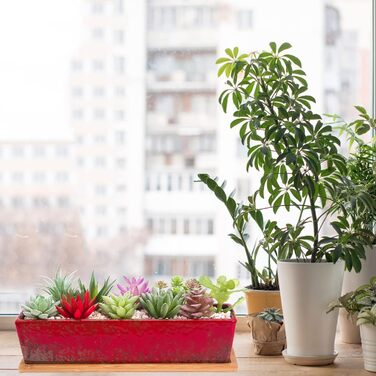 Горщики для сукулентів 12-дюймові кашпо для сукулентів з дренажним лотком, довгі прямокутні керамічні горщики для кактусів/сукулентів, неглибокий віконний ящик для бонсай для дому, саду, декору, червоні/вуличні, однотонні (Getaway Solids)