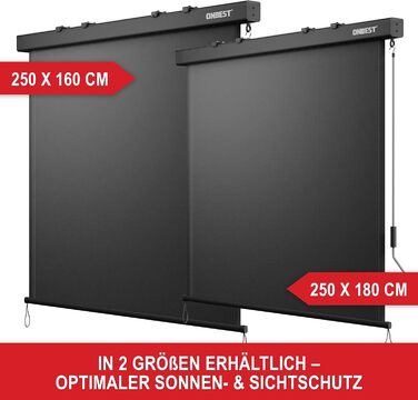 Вертикальна маркізка для використання всередині та зовні приміщень - розсувна у 2 розмірах 250 x 160 см / 250 x 180 см - ширма для забезпечення конфіденційності на балконі та терасі - ручна - захист від сонця, захист від вітру (антрацит, 160 x 250 см) Ант