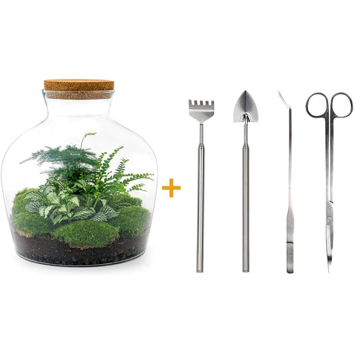 Пляшковий сад Рослини в скляній банці зі світлом 30 см - DIY - Terrarium Complete Set - Тераріум для рослин - urbanjngl Комплект тераріуму (Товстий Джо Грін)