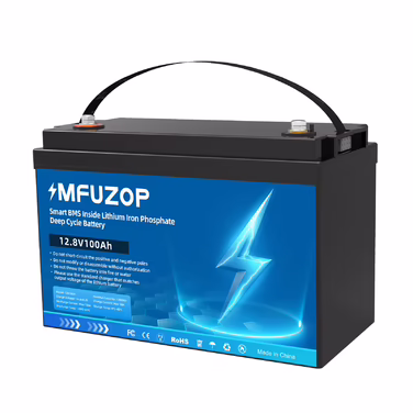 DATOUBOSS LiFePO4 12V Battery with BMS 8000Cycles, 100A 200A 300A, for Inverter, Motorhome, Solar System, Boat, Household, Solar