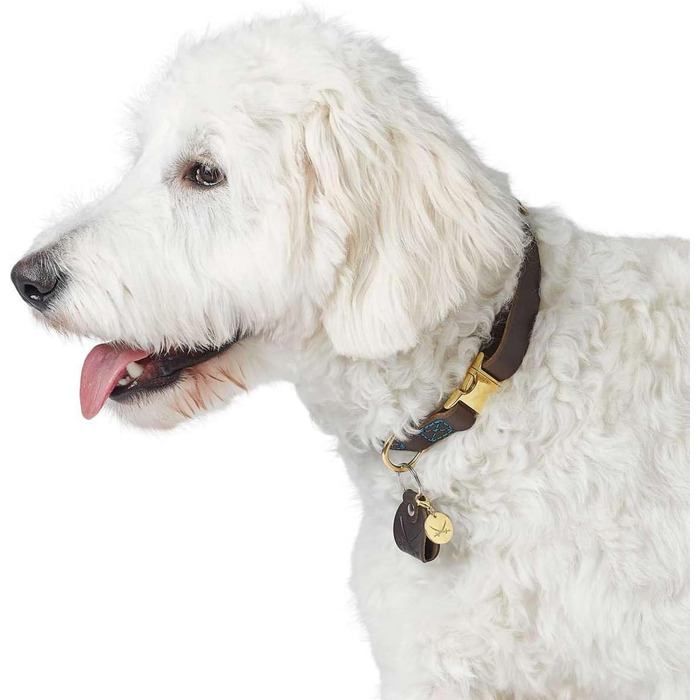 Ошийник для собак HUNTER Sansibar, колір темно-коричневий, високоякісна яловича шкіра, морські деталі, сині декоративні шви, латунні металеві елементи, регульований розмір, стильний та міцний, виготовлено в Німеччині, розмір M темно-коричневий M