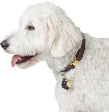 Ошийник для собак HUNTER Sansibar, колір темно-коричневий, високоякісна яловича шкіра, морські деталі, сині декоративні шви, латунні металеві елементи, регульований розмір, стильний та міцний, виготовлено в Німеччині, розмір M темно-коричневий M