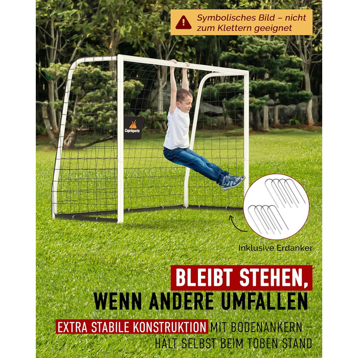 Футбольні ворота для дітей та дорослих Надзвичайно стабільні, стійкі до іржі футбольні ворота для саду Включає ґрунтові анкери Міцні футбольні ворота для вулиці Футбольні ворота для дитячих садів Ворота 3 розмірів 240x160 см