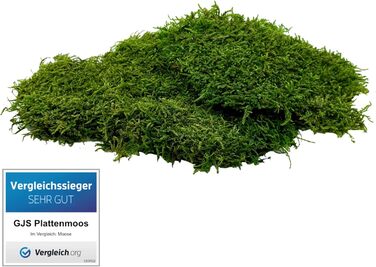 Мохові пластини GJS пластинчастий мох 100г/200г/500г справжні збережені, міцні килимки з моху для крафта, декоративний мох/плоский мох (пластинчатий мох, 100)