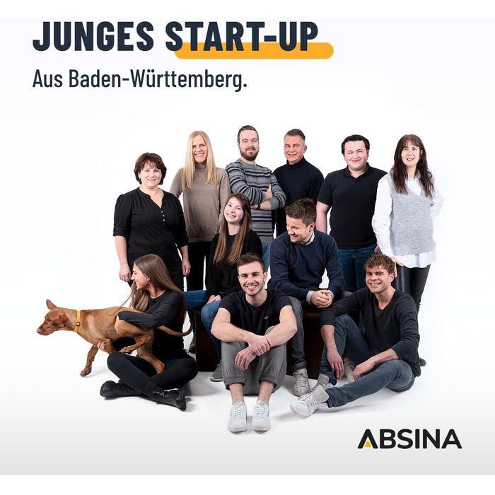 Зарядний пристрій ABSINA для акумуляторів AA, AAA та 9V, включаючи 8 батарейок AAA 1150 - NiMH 4-контактний зарядний пристрій для акумуляторних батарей - Зарядний пристрій для акумуляторів - 4-контактний зарядний пристрій, включаючи 8 батарейок AAA 1150