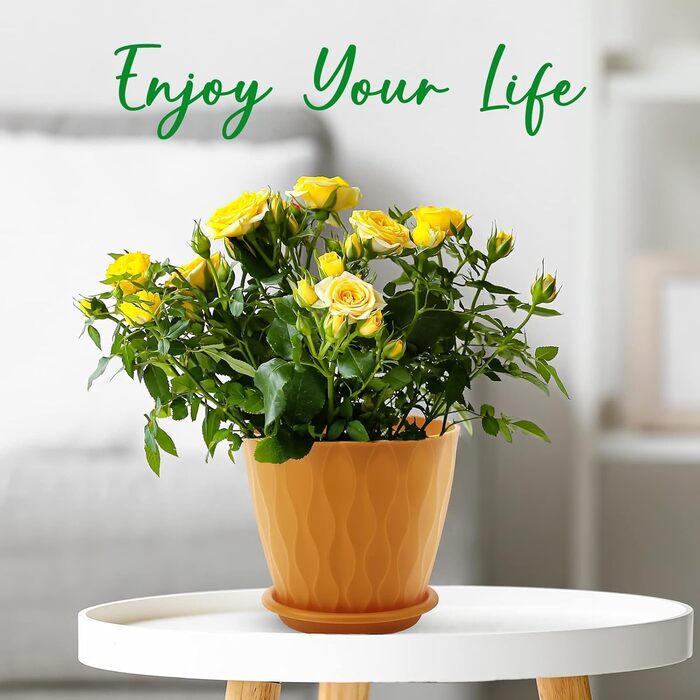 Горщики для квітів, 15,2 см, 5 шт. , для приміщень і вулиці, кашпо з дренажними отворами і блюдцями Різнокольорові