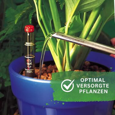 Культурний горщик Leni для гідропонних систем набір з індикатором рівня води Розміри на вибір 5-32 см круглі Міцний пластик (в упаковці 6 шт., Ø 13 см В 12 см)