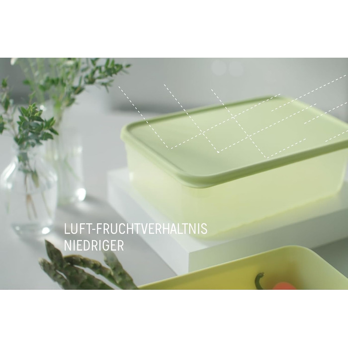 Контейнери для зберігання свіжих продуктів LocknLock Fresh Block з кришками набір із 2 контейнерів для зберігання продуктів, що штабелюються та не містять бісфенолу А можна використовувати в мікрохвильовій печі, морозильній камері та мити в посудомийній м