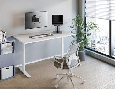 Підставка для ноутбука Newstar NSLS200, 10-16, до 5 кг, сріблясто-чорна, 9287917000