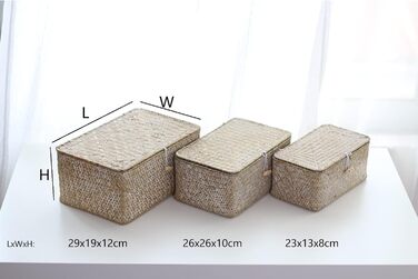 Кошик для зберігання морської трави з кришкою, плетена прямокутна ротангова скринька ручної роботи для іграшок, одягу, книг, ключів, органайзера для макіяжу, набір з 3 полиць-кошиків