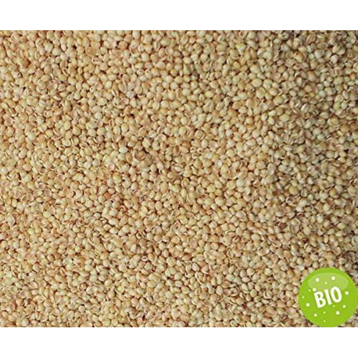 Подушка GIRAFFENLAND з органічного проса 40x60 см, подушка для сну з органічного перкалю органічний наповнювач, прямий наповнювач Нефарбована та невідбілена - подушка для голови з просом