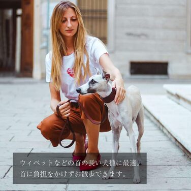 Ошийник для собак Ferplast VIP CW15/32, шкіряний, м'яко підбитий, ширина 1,5 см, обхват шиї 26-32 см, коричневий