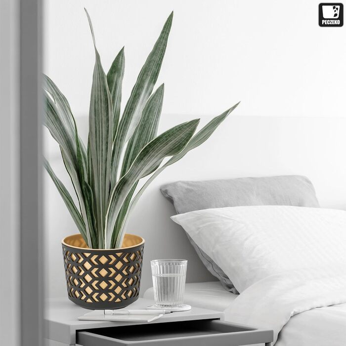 Матовий горщик для квітів PECZEKO - Декоративний горщик для квітів і трав - Міцні та легкі круглі пластикові горщики для вітальні