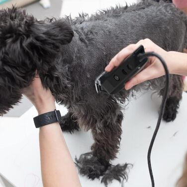 Машинка для стрижки собак Wahl Multi-Cut, набір для догляду за шерстю собак та котів, повний комплект для домашніх улюбленців, тиха, акумуляторна, для використання вдома, стійка до іржі, леза з вуглецевої сталі з прецизійним заточуванням, легка вага 100 г