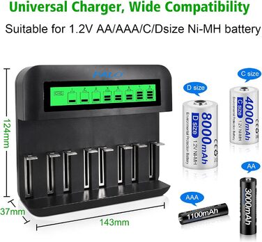 Зарядний пристрій CITYORK для акумуляторів AA AAA CD NI-MH/NI-Cd з входом Micro-USB та Type-C - швидке заряджання, автоматичне виявлення, функція захисту від перезаряджання (зовнішній вигляд може відрізнятися)