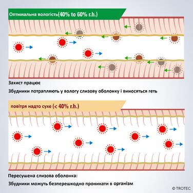 Зволожувач повітря ультразвуковий Trotec B 4 E Black (1160000053)