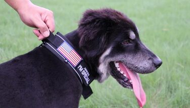 Тактичний нашийник для собак, міцний, світловідбиваючий нашийник з ручкою, широкий нашийник для середніх та великих порід, ширина 6,6 см, військовий нашийник з регульованим обхватом шиї 44-64 см, чорний