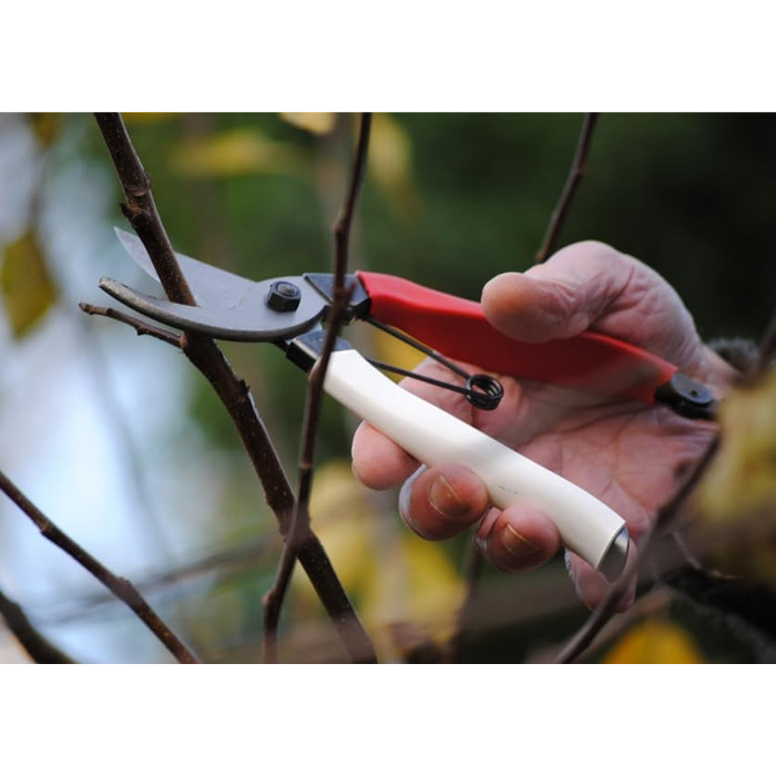 Садові ножиці Okatsune 103 для рук середнього розміру, надзвичайно гострі для легкого різання до 25 мм виготовлені з високоякісної японської сталі Izumo-Yasugi, безперечного лідера в Японії. Садові ножиці 103, середні