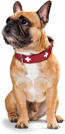 Нашийник для собак Hunter (Швейцарський дизайн), з органічної шкіри