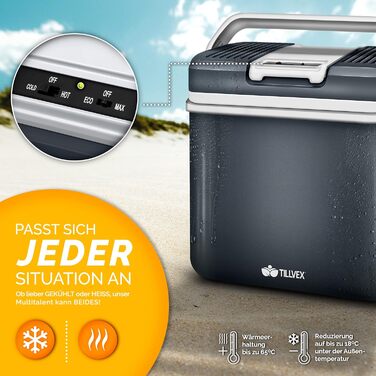 Електричний 24 л міні-холодильник 230 В і 12 В для автокемпінгу охолоджує і гріє режим ECO сірий