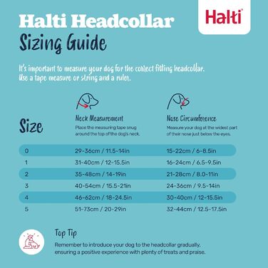Комплект головного поводця та тренувального поводка Halti, запобігає тягненню собаки під час прогулянок, включає головний повідець розміру 5 та двосторонній повідець, чорний. Розмір 5.