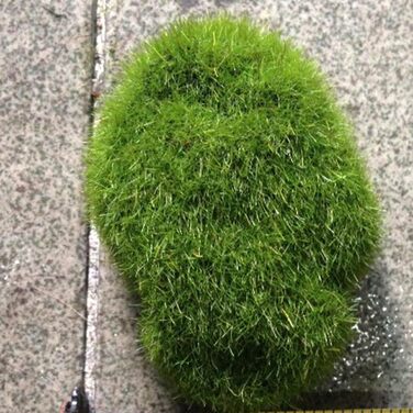 Штучні мохові камені казковий садовий мох скелі ляльковий будиночок квітковий горщик DIY прикраса, 12 шт.