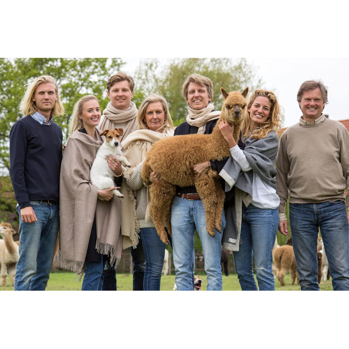 Подушка Basic Line Alpaca, простьобана терморегулюючою вовною альпаки та наповнена еластичними кульками з волокна, для спокійного сну, 40x80 см, середньої жорсткості та відносно висока