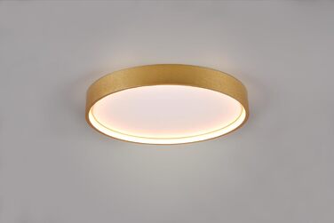 Стельовий LED-світильник Trio Leuchten Doha 641310208, матова латунь, акрил, LED 29 Вт