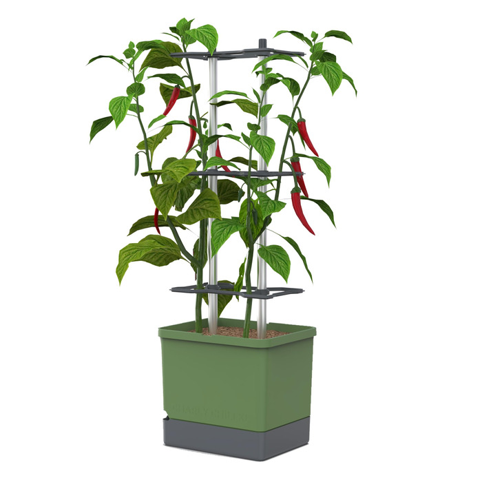 Горщик для рослин Charly Chili Chili - Горщик для рослин із шпалерою, системою поливу та міцним каркасом (темно-зелений, XL) XL Темно-зелений