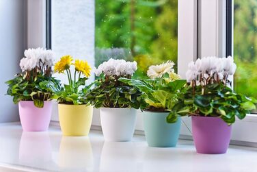 Кашпо для квітів Tymar, 2 шт. , пластикове кашпо для рослин, сучасне, матове, круглої форми (графіт, ø 14 см) ø 14 см (2 шт. ) гра