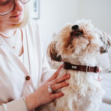 Ошийник для собак HUNTER Canadian UP, колір коньяк, для малих собак та цуценят, мяка та гнучка шкіра, не пошкоджує шерсть, екологічно чистий, виготовлено в Німеччині, розмір S/1 коньяк S/1